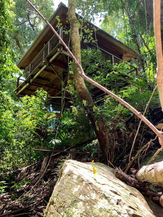 Cairns Rainforest Retreat Eksteriør billede